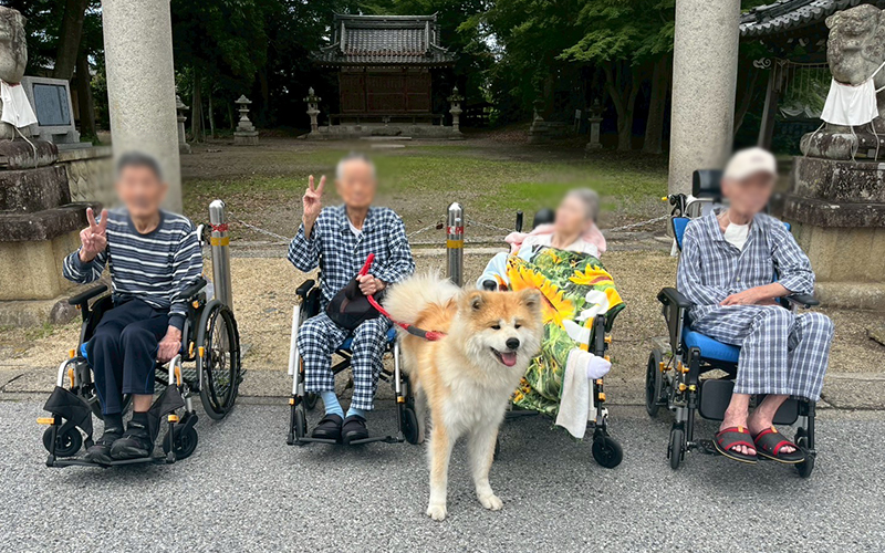 バラ園に見学にいってきました！